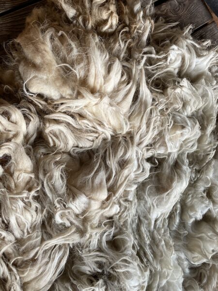 kleed van schapenwol zelf maken