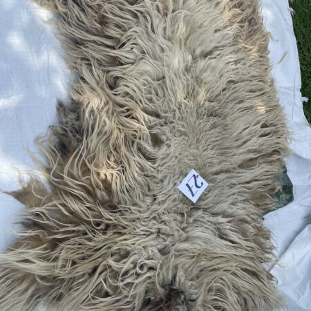 zelf vacht vilten schapen wol