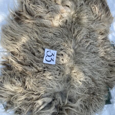 drents heideschaap vacht om te vilten vachtvilten schapenwol