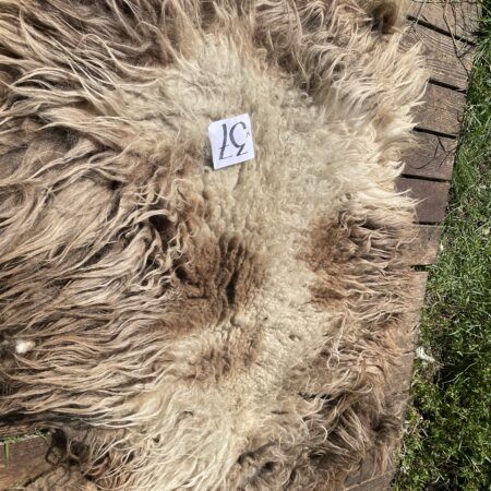 schaap vacht om te vilten schapenvacht wol