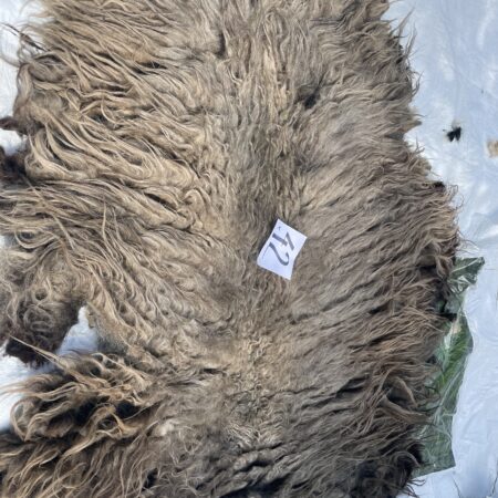 schapenvacht geschoren ruwe wol