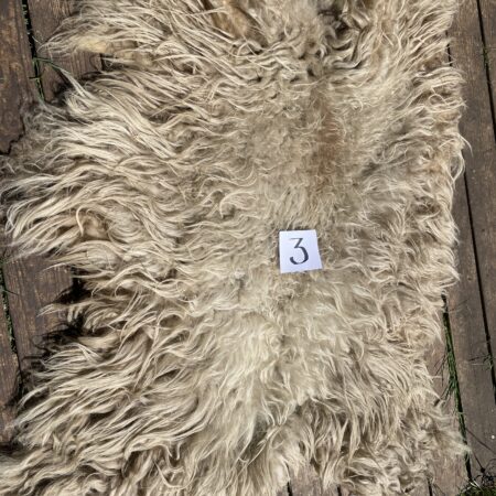 3. 120x120.  dikke witte topvacht schoonebeeker